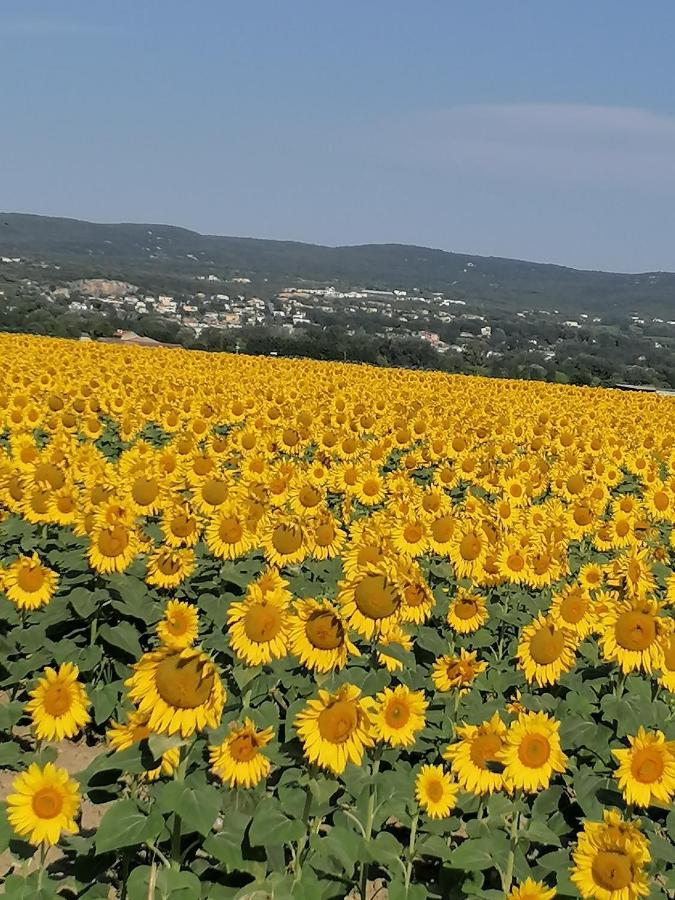 Charmante Maison Avec Terrasse Aux Portes De L'Ardeche Пон-Сент-Эспри Экстерьер фото